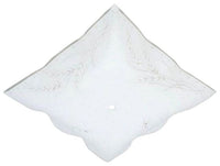 Westinghouse light diffuser