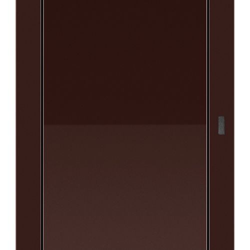Lutron Pico wireless remote in Brown