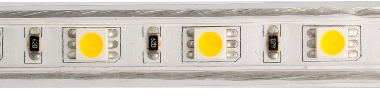 ELCO Lighting EDF21WW Flat LED Rope Light 3W/ft Per Ft