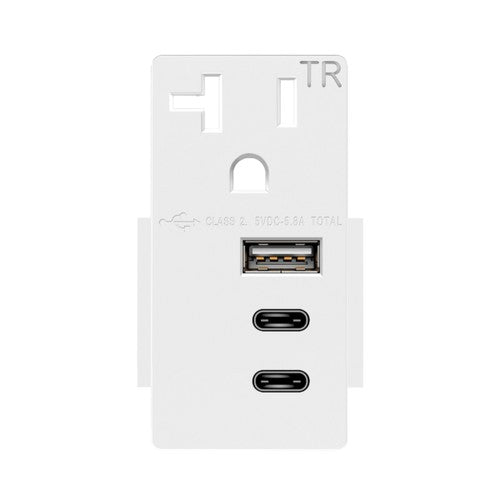 Enerlites Type-A And Dual Type-C USB 20A Modules White USB20L3A2C-W