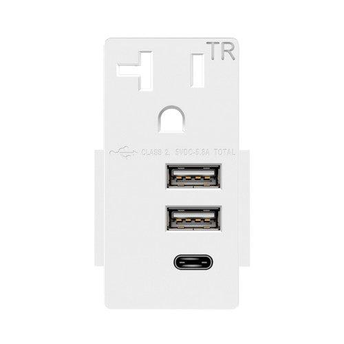 Enerlites USB 20A 2A/1C Modules Gy USB20L3AC-GY