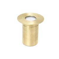 Focus Industries SL37PNLBRS Step & Brick Light