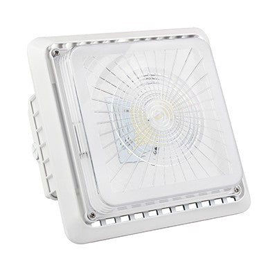 Lighting Spot 26 55W 6900-7450lm 5000K Brown LED Canopy Light LS2-PG02A1-55W-5K-BR