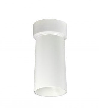 Nora Lighting NYLM-3SCCDXWWLE4 LED Cylinder