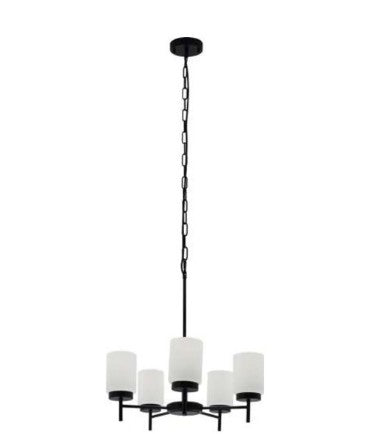 Westgate LCFE-E26-P5L-BK LED pendant light black