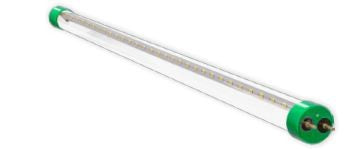Westgate 2 ft 120-277V 10W 1250LM 3500K G13 LED T8 Tube Lamp T8-EZ6-GS-2FT-10W-35K-C